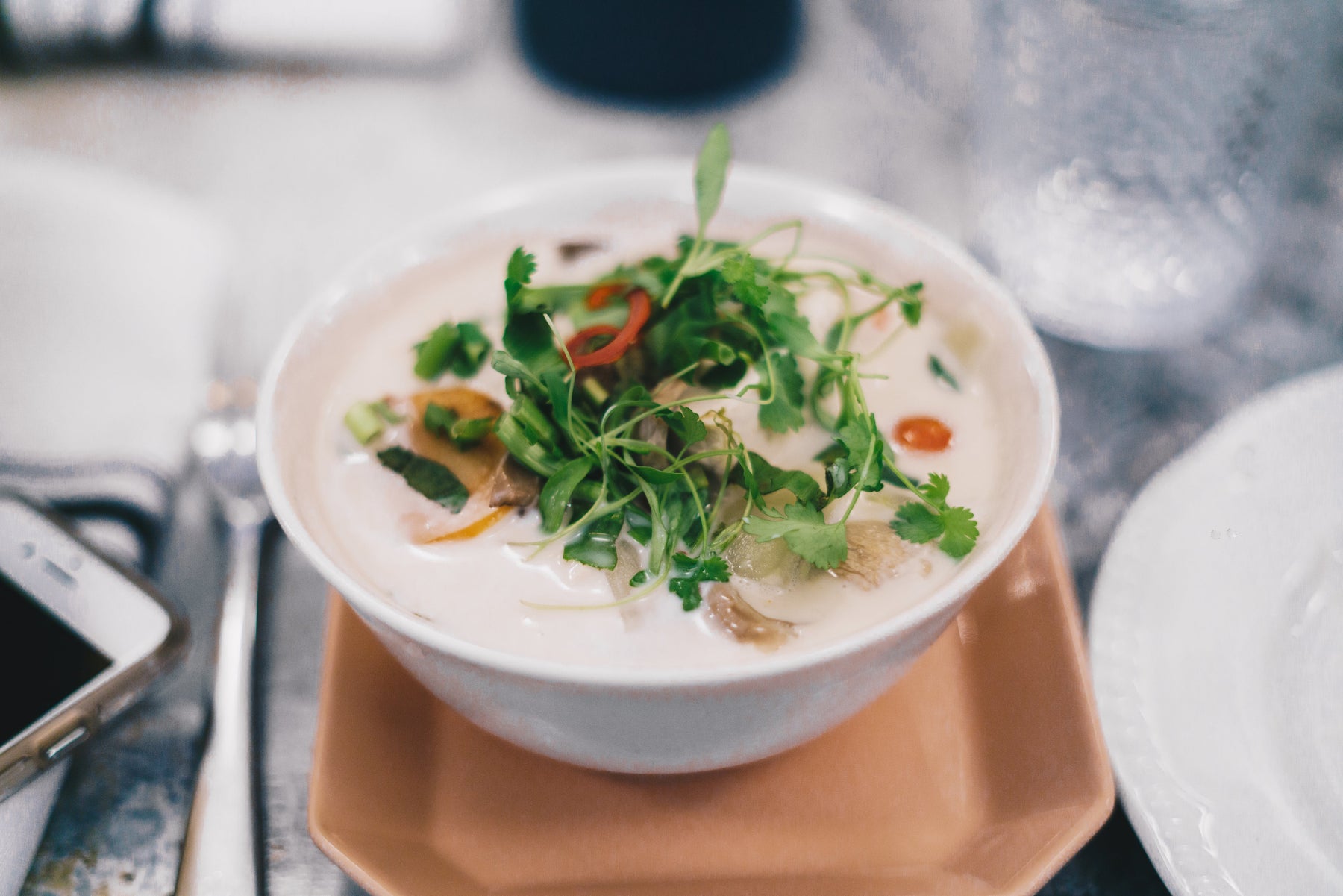 The Gut-Longevity Connection