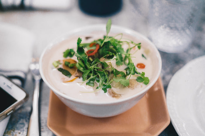 The Gut-Longevity Connection